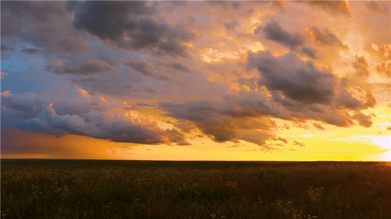 “Prairie Prophecy” Documentary Film Screening & Panel Discussion – Event_Image [EVENT]