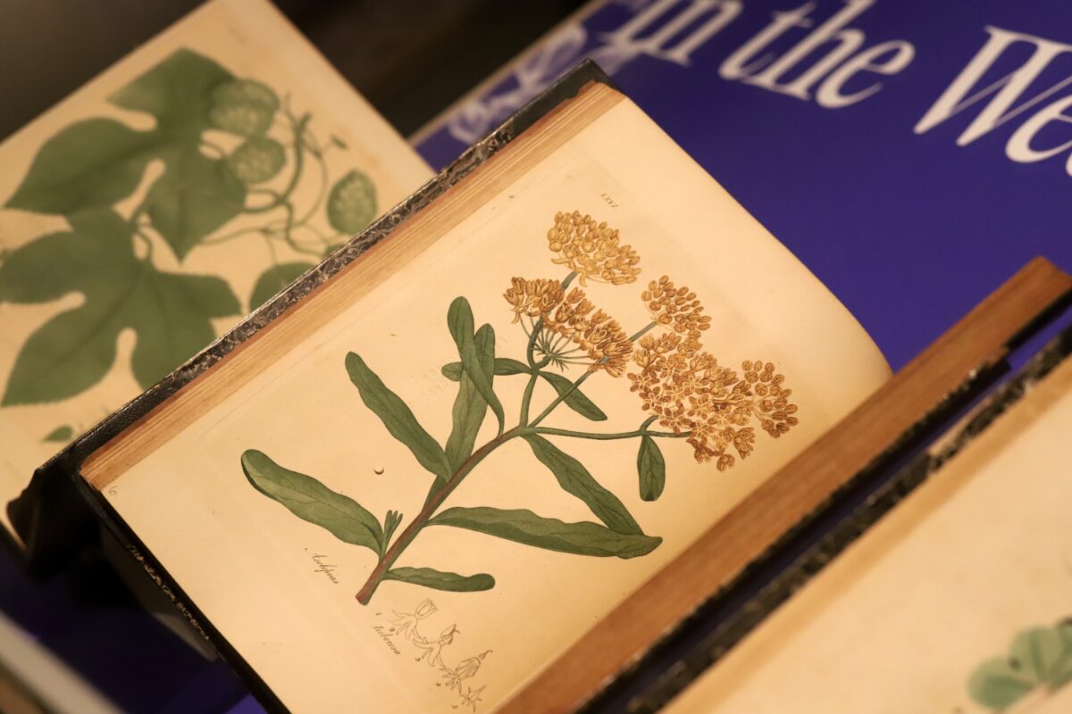 2025 New Acquisitions Exhibition – Event_Image [EVENT]