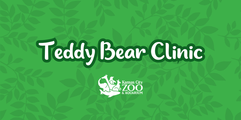 Teddy Bear Clinic – Event_Image [EVENT]