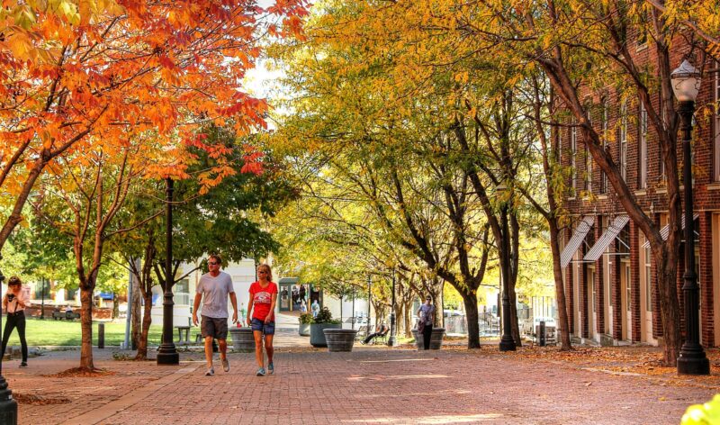 City Market – Mike Day (1)