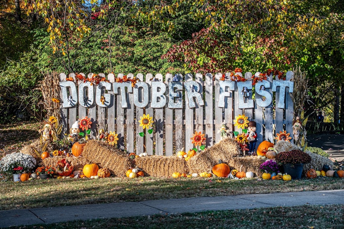 32nd Annual Dogtober Fest – Event_Image [EVENT]