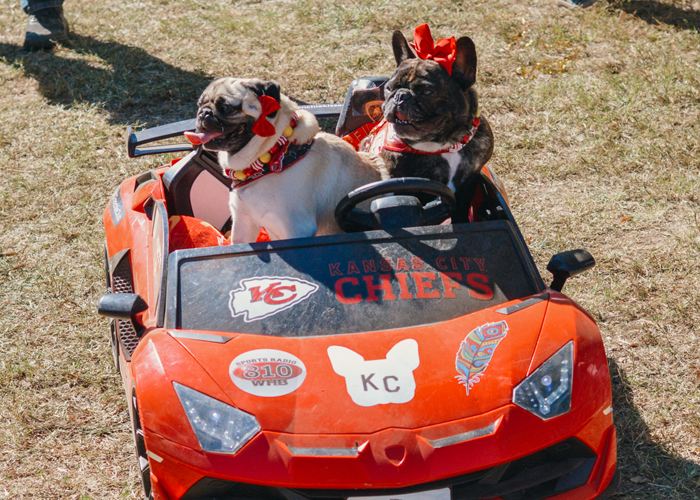 32nd Annual Dogtober Fest – Event_Image3 [EVENT]