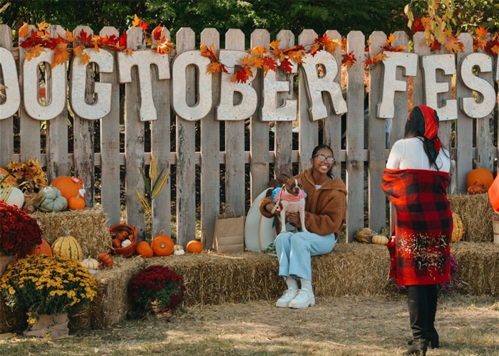 32nd Annual Dogtober Fest – Event_Image [EVENT]