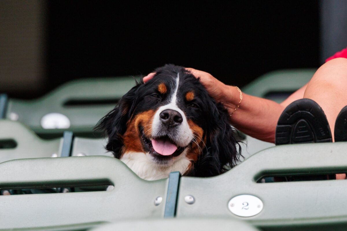 Kansas City Monarchs vs Cleburne Railroaders – Event_Image4 [EVENT]