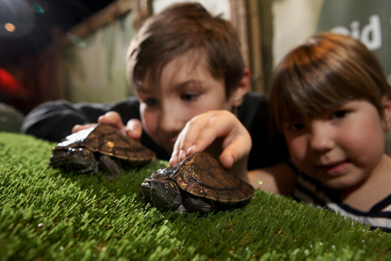 Sea Life Aquarium_23 – Jason Lock