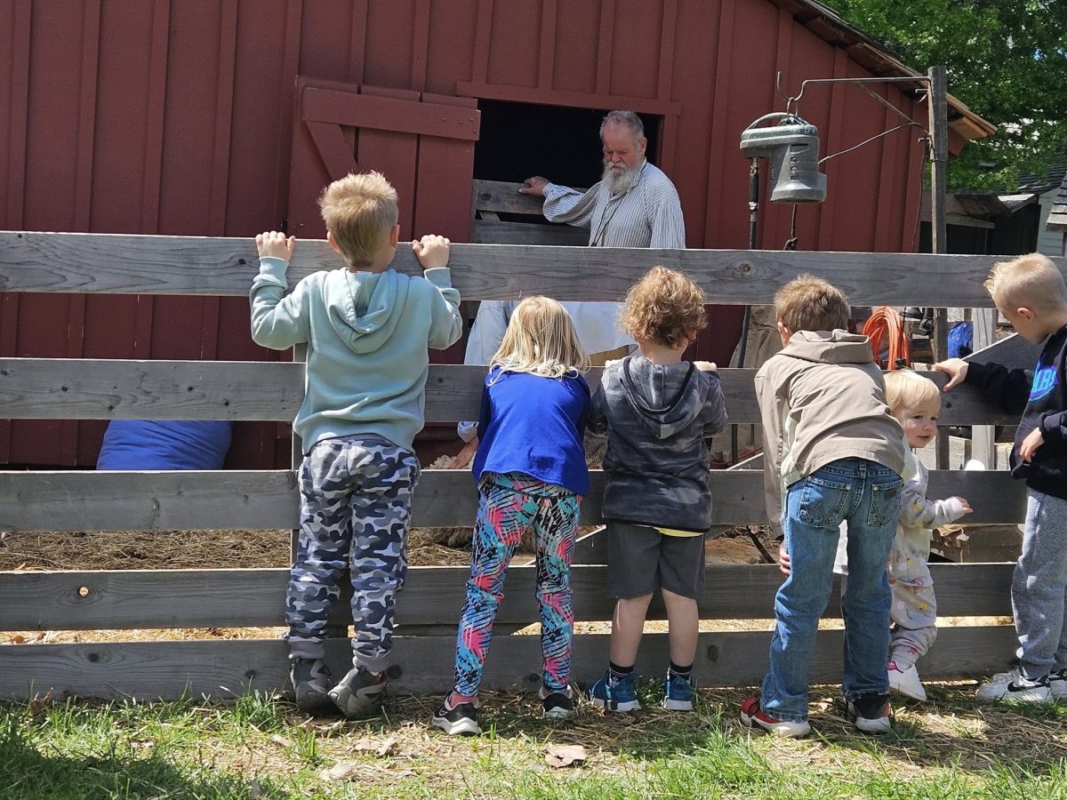 Sheep Shindig – Event_Image3 [EVENT]