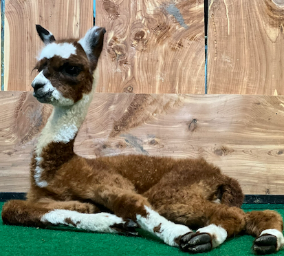 Farm Tours – Event_Image4 [EVENT]