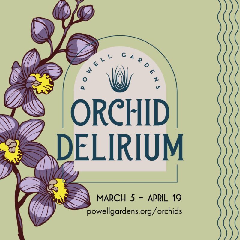 Orchid Delirium – Event_Image [EVENT]
