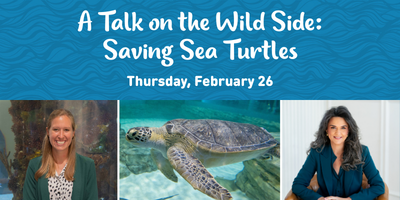 A Talk on the Wild Side: Saving Sea Turtles – Event_Image [EVENT]