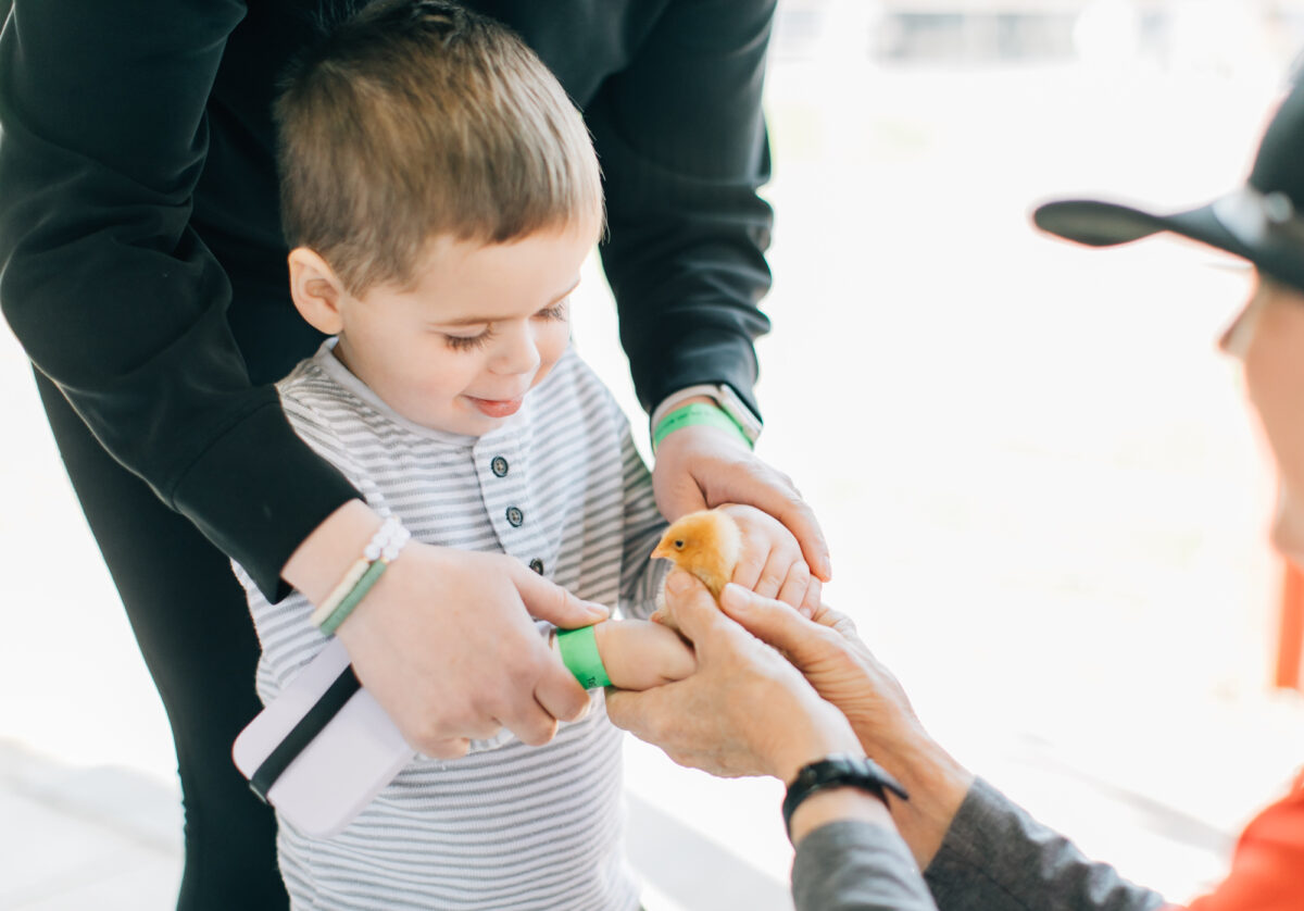 Spring Round Up at Faulkner’s Ranch – Event_Image2 [EVENT]