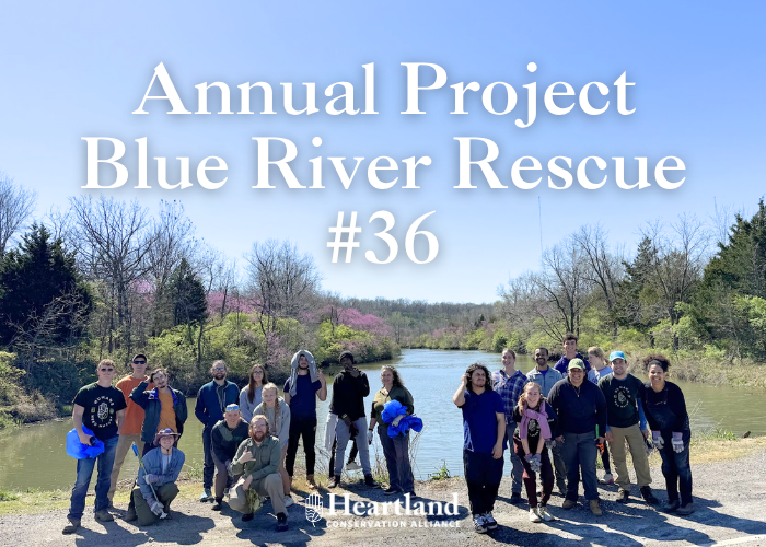 Annual Project Blue River Rescue #36 – Event_Image [EVENT]