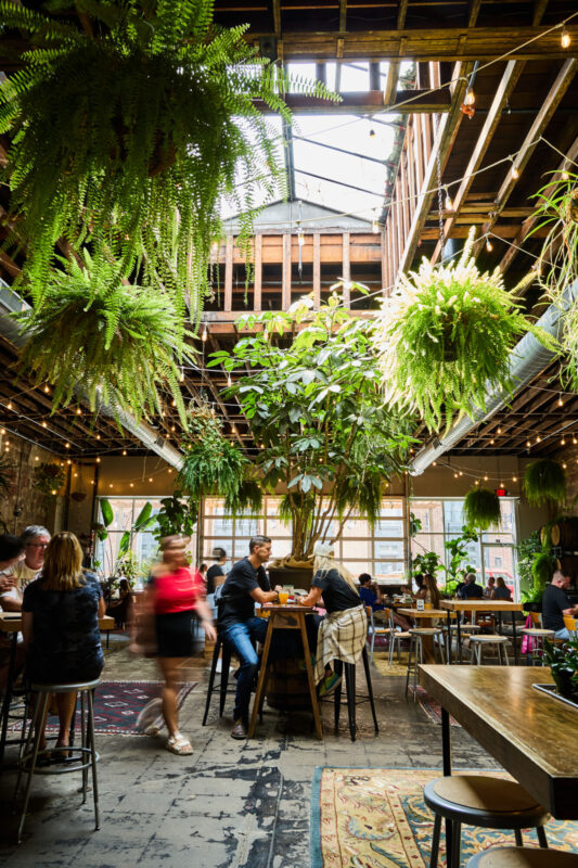 Casual Animal Brewing Co – Pilsen Photo Co-op (55)