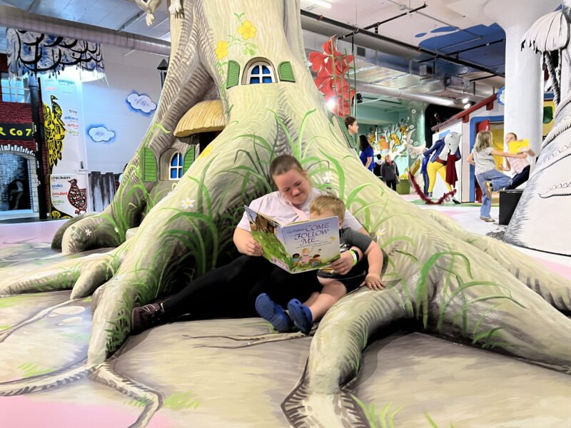 Come Follow Me to the Secret World of Elves and Fairies and Gnomes and Trolls – The Rabbit hOle