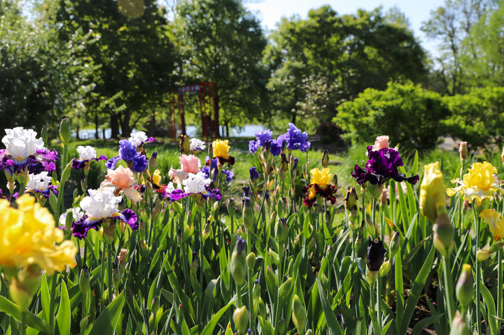 Painted Garden – Event_Image3 [EVENT]