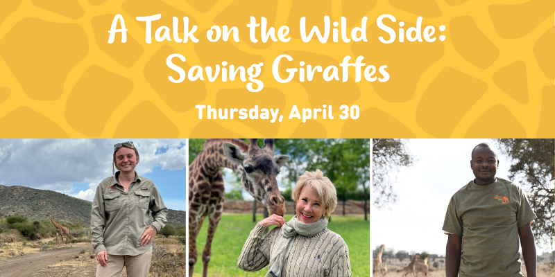 A Talk On The Wild Side: Saving Giraffes – Event_Image [EVENT]
