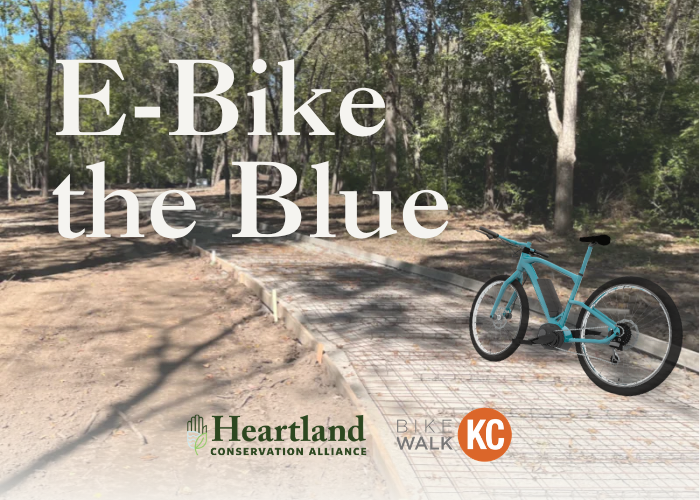 E-Bike the Blue – Event_Image [EVENT]