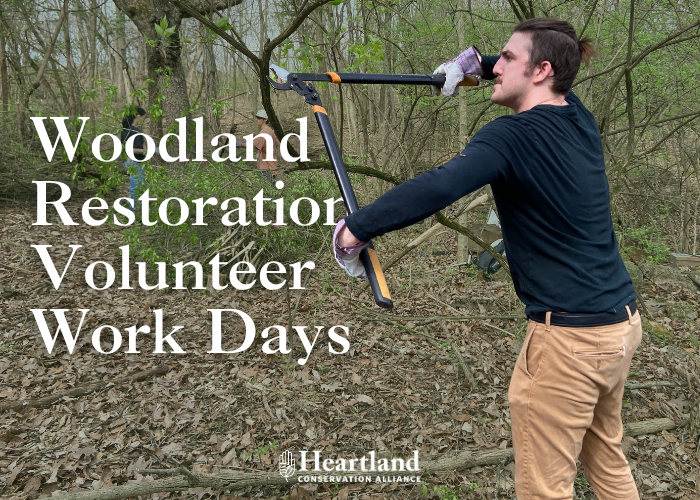 Woodland Restoration Volunteer Workdays – Event_Image [EVENT]