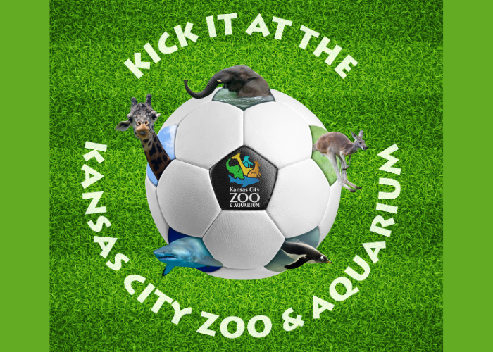 يوم "Kick It at the Zoo" – صورة الحدث [EVENT]