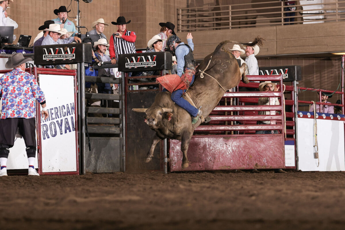 American Royal Association – Bild_3 [EINTRAG]
