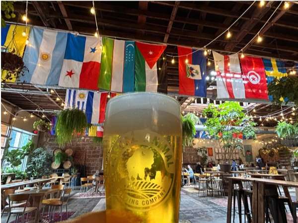 Soccer Games at Casual Animal – Event_Image [EVENT]