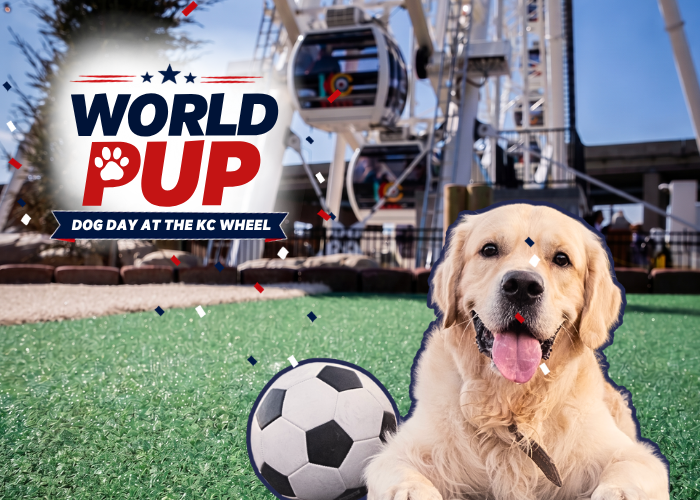 World Pup – Imagem do evento [EVENTO]