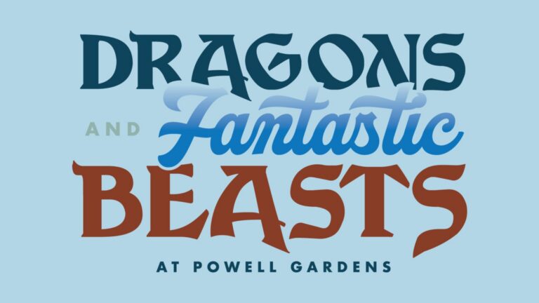 Dragones y animales fantásticos – Imagen del evento [EVENTO]