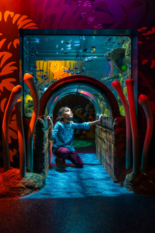 SEA LIFE Kansas City Aquarium_Aaron Fuhrman_MDT (10)
