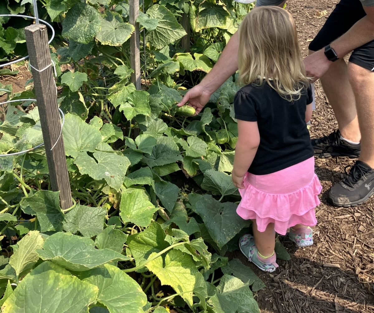 Children’s Garden Day – Event_Image [EVENT]
