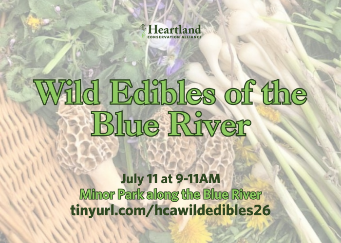 Wild Edibles of the Blue River – Event_Image [EVENT]