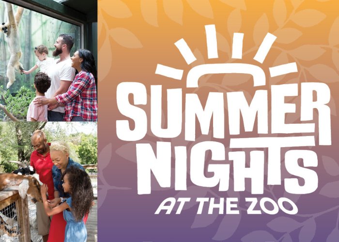 Summer Nights at the Zoo – Event_Image [EVENT]