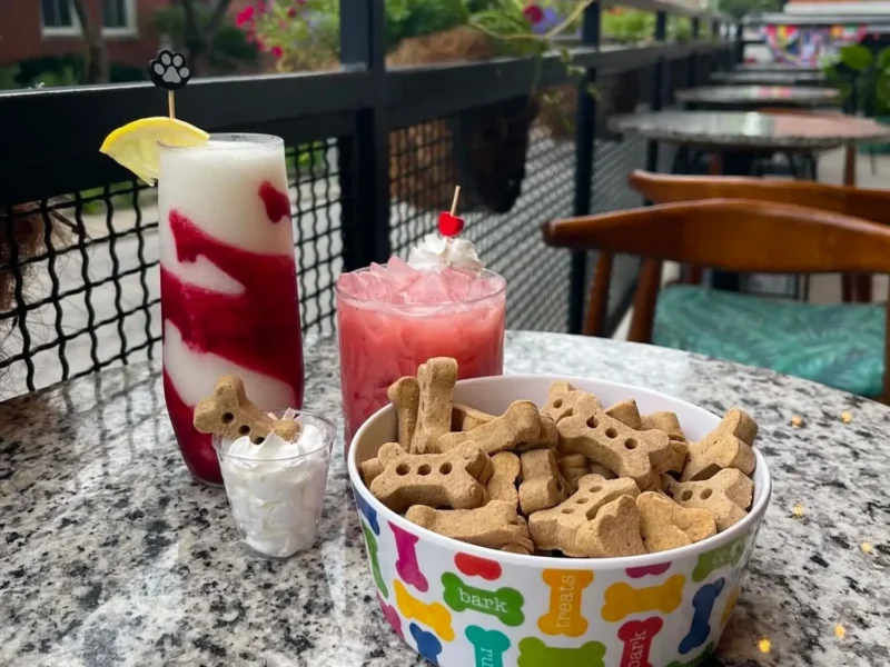 Yappy Hour at Frost: Dog Days of Summer – Event_Image [EVENT]