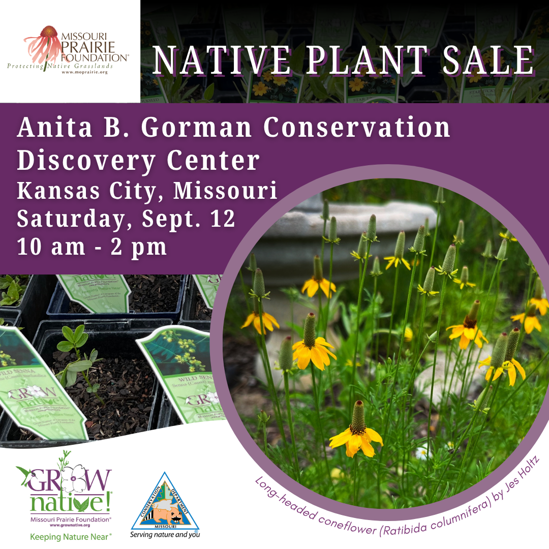 Native Plant Sale at the Anita B. Gorman Conservation Discovery Center – Event_Image2 [EVENT]