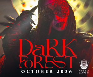 Dark Forest – Event_Image2 [EVENT]