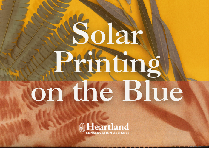 Solar Printing on the Blue – Event_Image [EVENT]