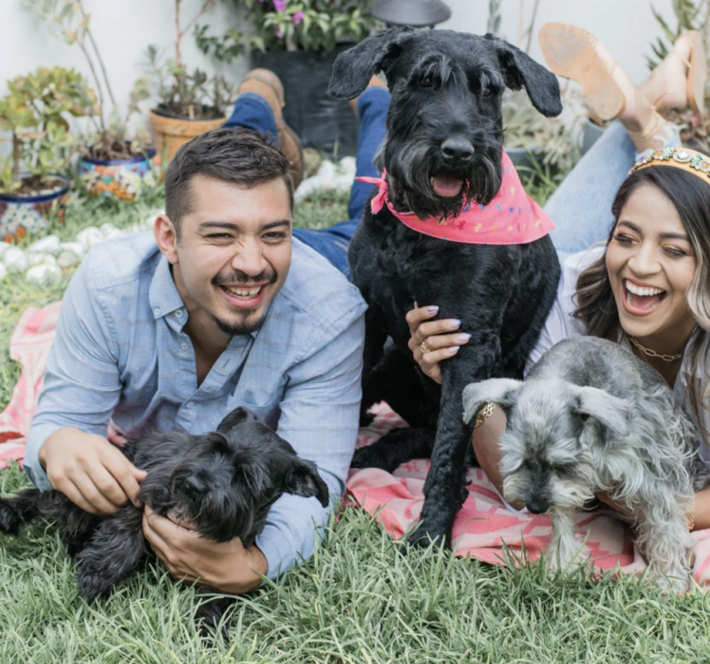 KC Pet Fest – Event_Image [EVENT]
