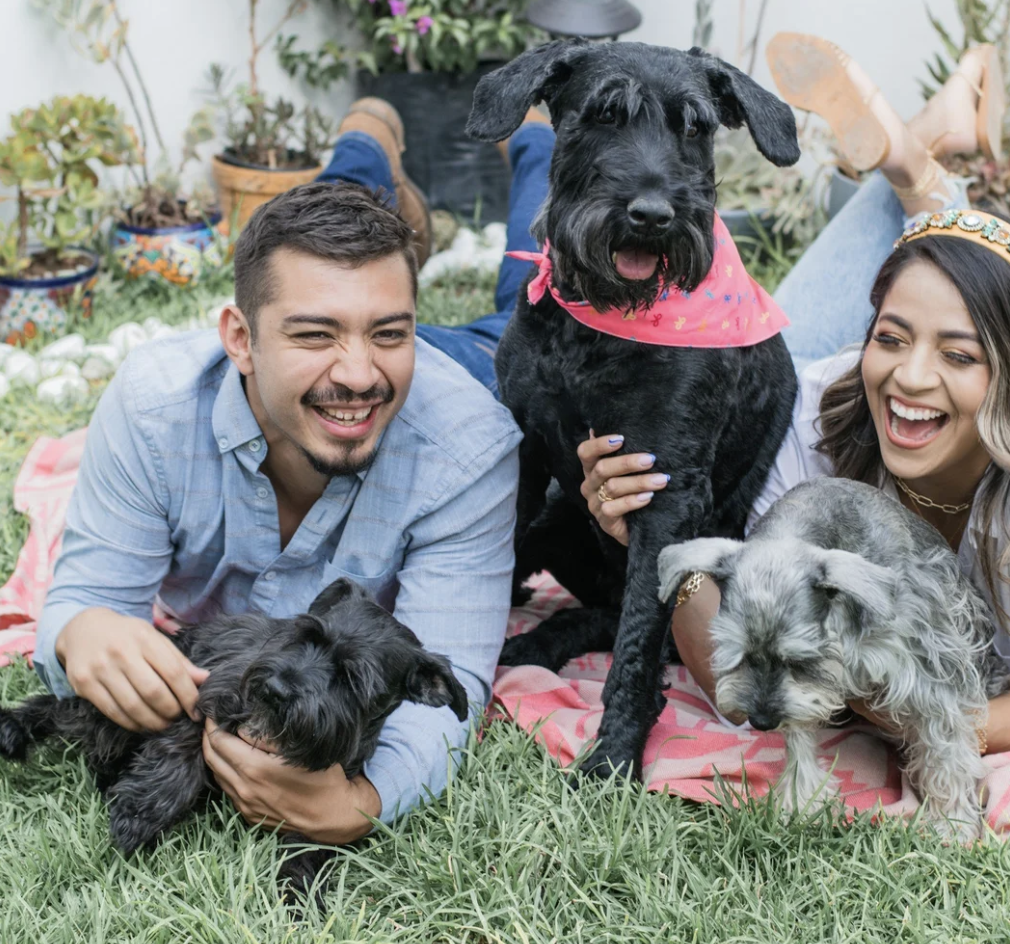 KC Pet Fest – Event_Image [EVENT]