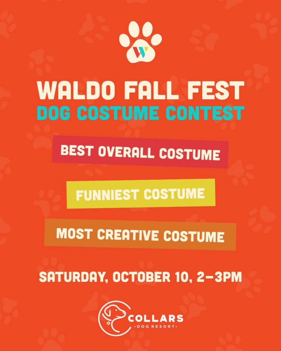 34th Annual Waldo Fall Festival – Event_Image4 [EVENT]