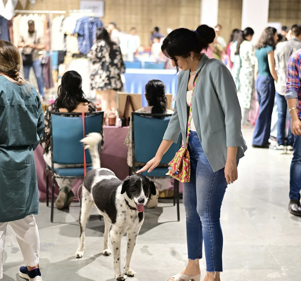 KC Pet Fest – Event_Image5 [EVENT]