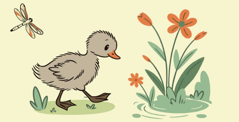 Ugly Duckling – Event_Image [EVENT]