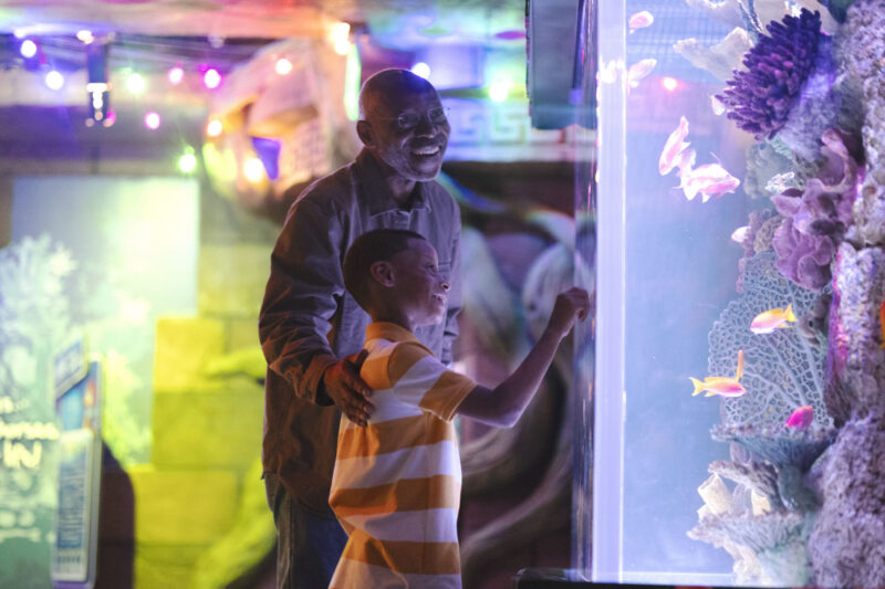 SEA LIFE_MMGY2023 – Pilsen Photo Co-op (4)
