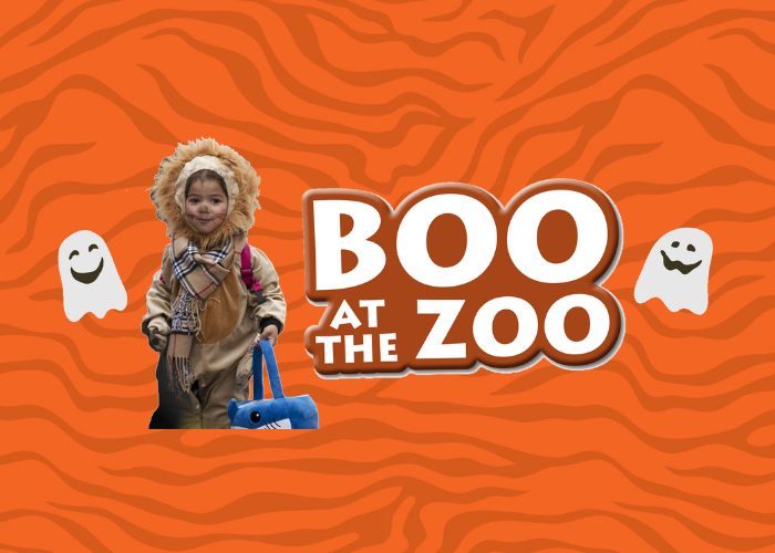 Boo at the Zoo – Event_Image [EVENT]