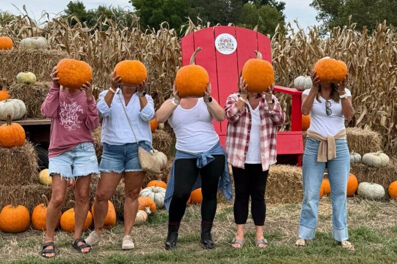 Fall Fun Fest at Lone Jack Acres – Event_Image [EVENT]