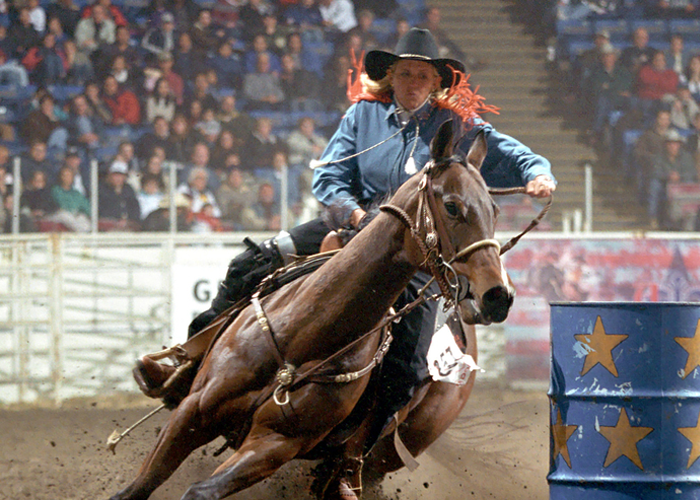 127th American Royal Livestock Show – Event_Image [EVENT]