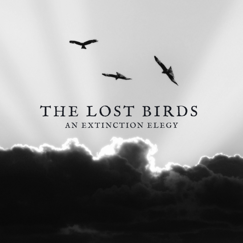 The Grammy-winning Kansas City Chorale presents: The Lost Birds – Event_Image [EVENT]