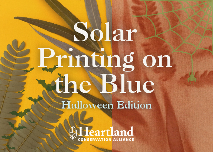 Solar Printing on the Blue – Halloween Edition! – Event_Image [EVENT]