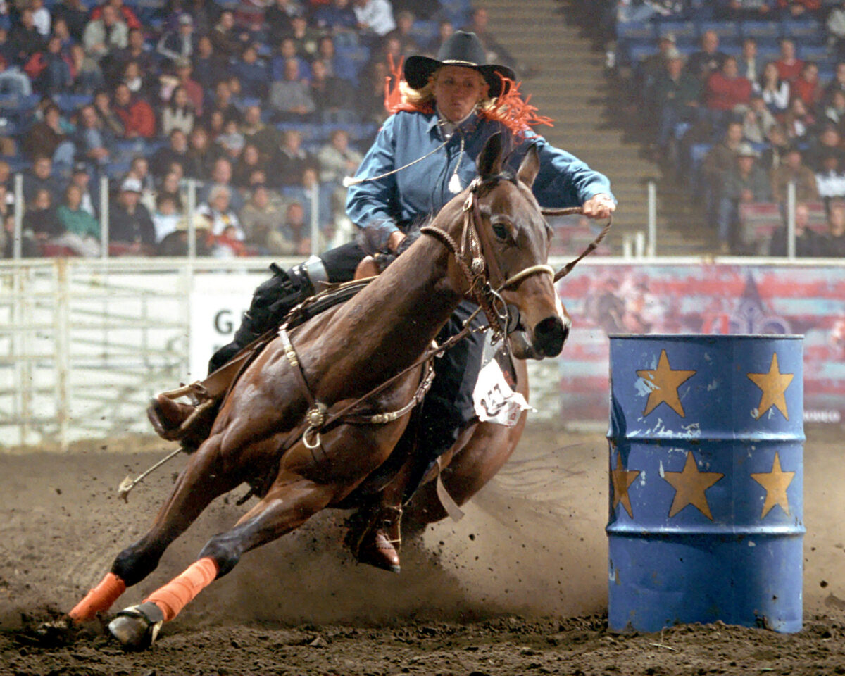 American Royal_01
