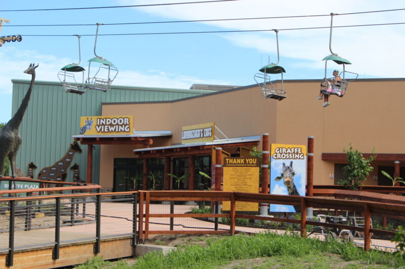 Giraffe Crossing – Kansas City Zoo & Aquarium_courtesy the Zoo