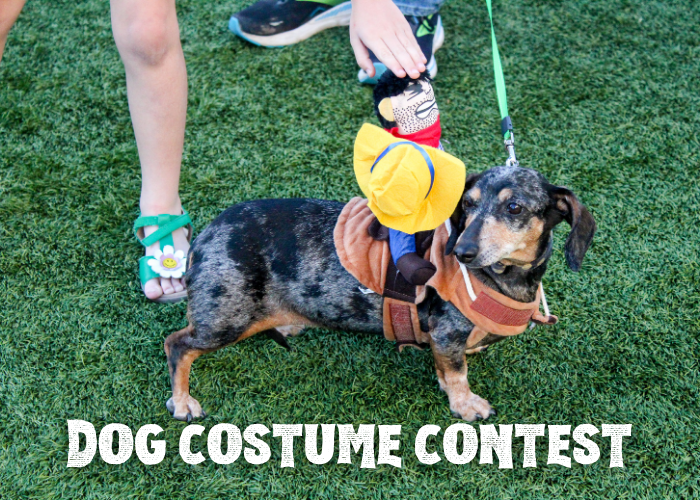 3rd Annual Barks & Boos at Meat Mitch BBQ – Event_Image3 [EVENT]
