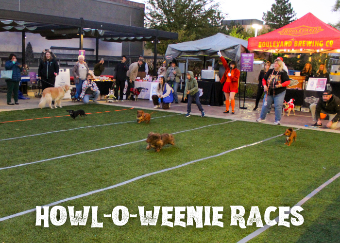 3rd Annual Barks & Boos at Meat Mitch BBQ – Event_Image5 [EVENT]